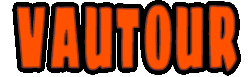 logo de l'agence immobilière de lacanau ocean : agence Vautour